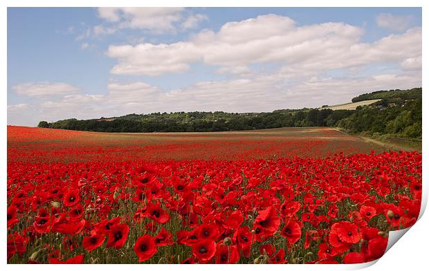 Red for Remembrance Print by Dawn Cox