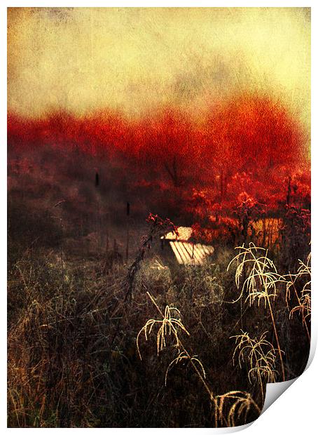Remaining Embers of Autumn Print by Dawn Cox