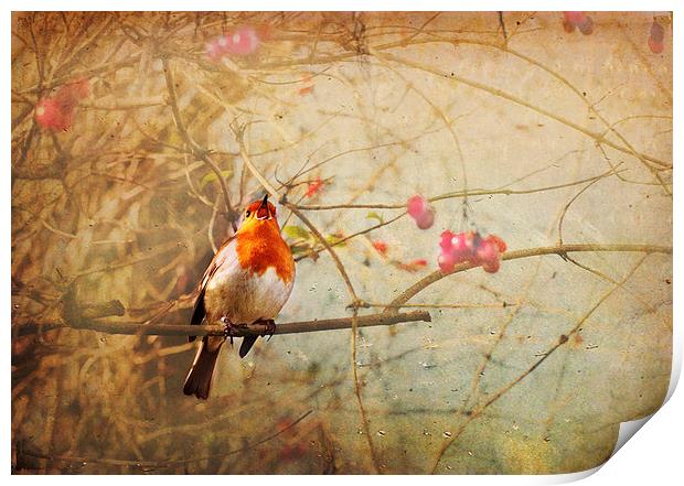 Vintage Songbird Print by Dawn Cox