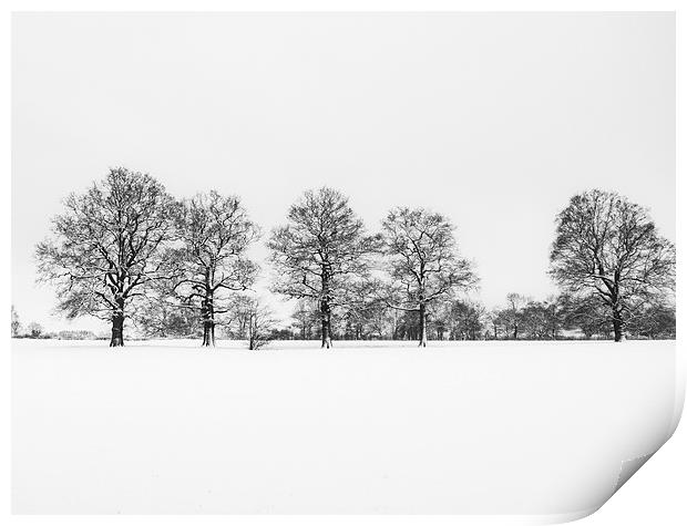 Sevenoaks in the Snow Print by Dawn Cox