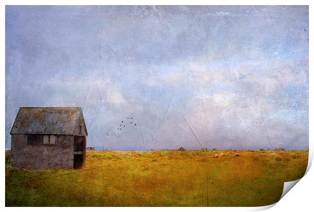 Empty Print by Dawn Cox