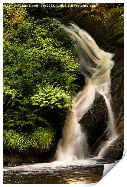 Falls and ferns Print by Izzy Standbridge