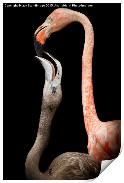  Flamingo parenting Print by Izzy Standbridge
