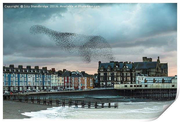 Starling cloud over Aberystwyth Print by Izzy Standbridge