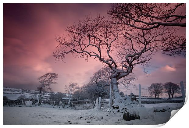 Snow dawn Print by Izzy Standbridge