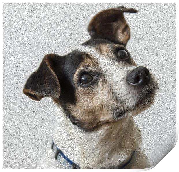 Jack Russell Print by richard downes