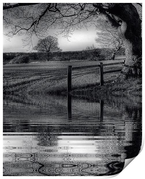 Reflections Print by richard downes