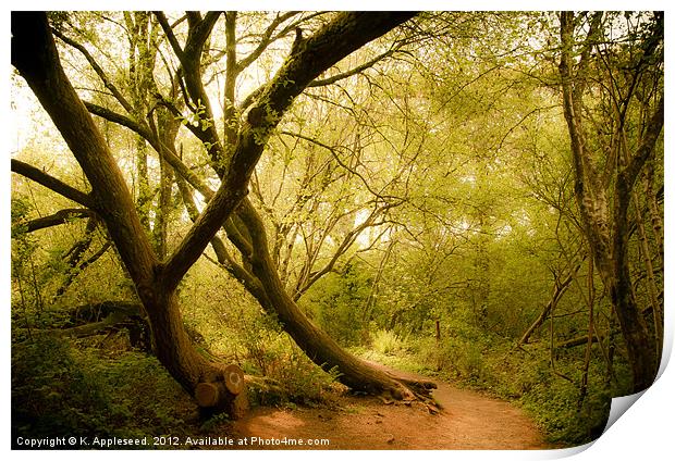 Occombe woods in spring Print by K. Appleseed.