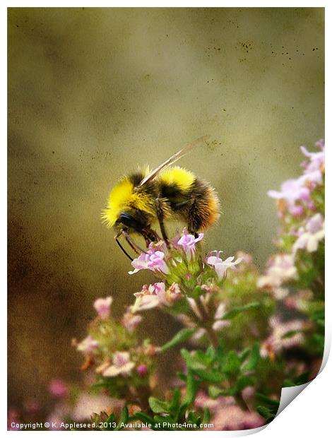 Bee on Thyme flowers Vintage Finish Print by K. Appleseed.