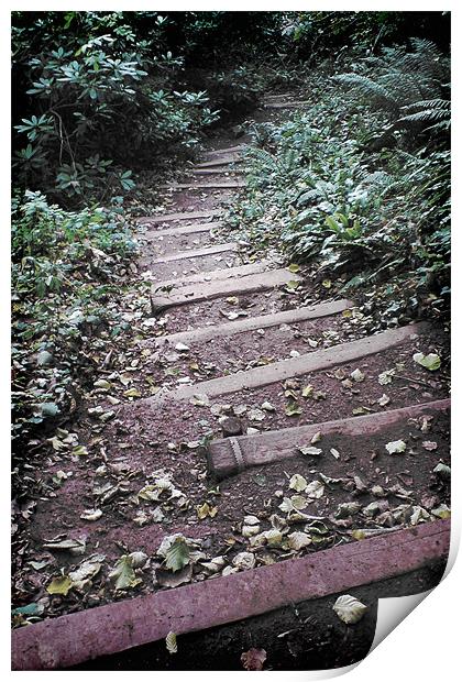 Up Down Steps, Cockington Country Park Torquay Print by K. Appleseed.