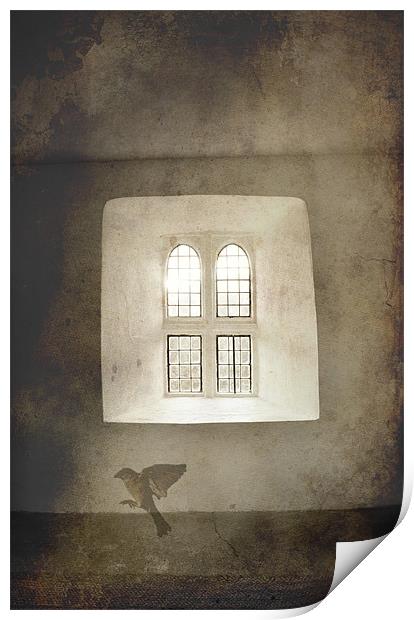 Cry for freedom, bird and window Print by K. Appleseed.