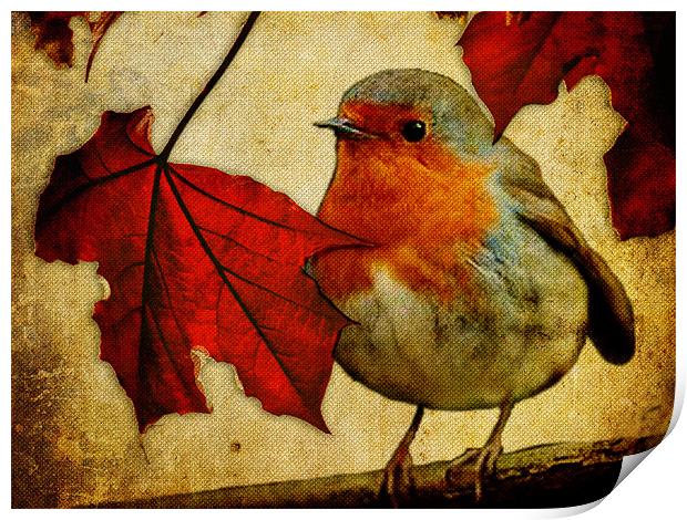 Robin and Red Leaves, Christmas... Print by K. Appleseed.