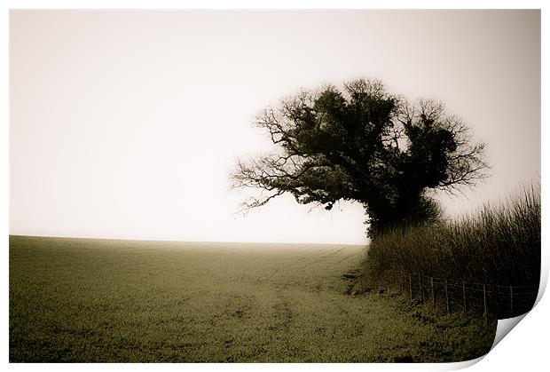 A Tree, a Field, a Hedge. Print by K. Appleseed.