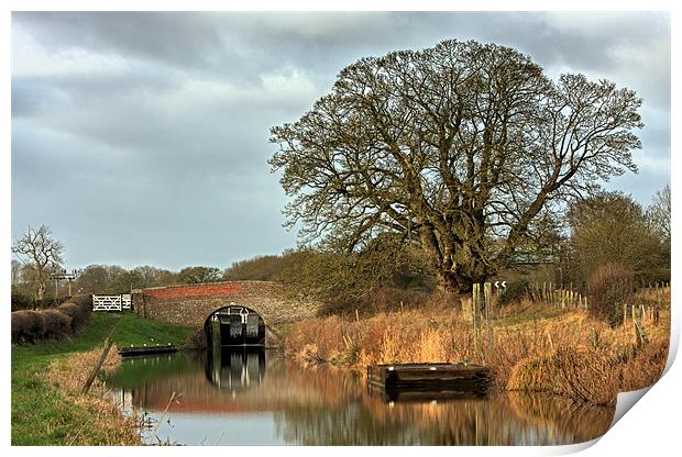 Kenet and Avon Canal Print by Tony Bates