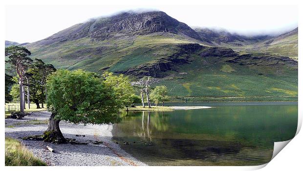 Lake Buttermere Cumbria Print by Tony Bates