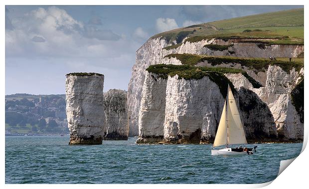 Old Harry Rocks Print by Tony Bates