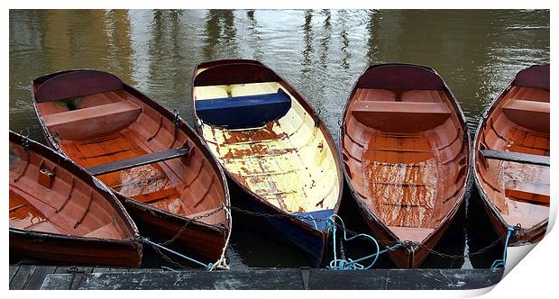 Oxford rowing boats Print by Tony Bates