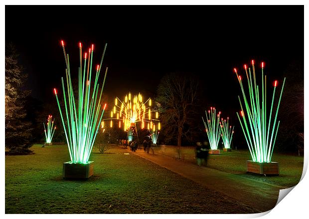  Kew Christmas lights Print by Tony Bates