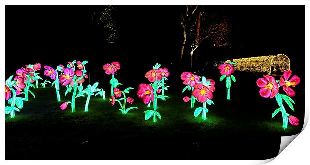 Kew Botanical gardens at night Print by Tony Bates
