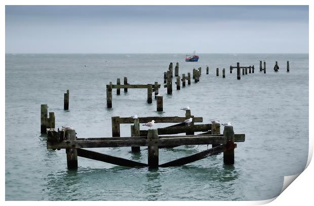 Remains of Swanage pier Print by Tony Bates