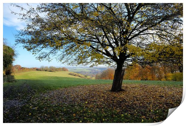 Lardon Chase, the Holies and Lough Down Print by Tony Bates