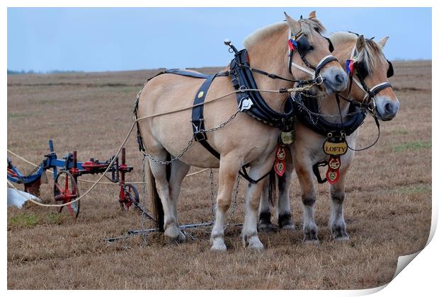 Ploughing Horses Print by Tony Bates