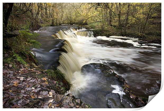 Nedd Fechan Print by Tony Bates