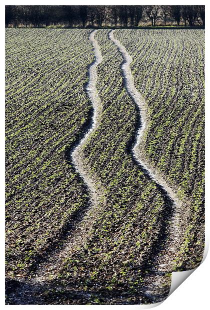 Field tracks Print by Tony Bates