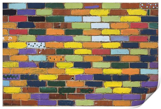 Painted Bricks Print by Tony Bates