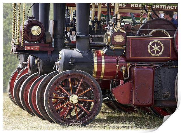 Steam traction engine line up Print by Tony Bates