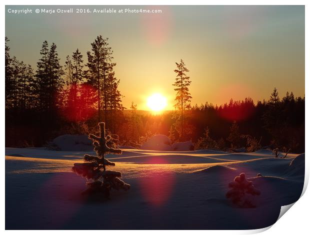 Cold sun Print by Marja Ozwell