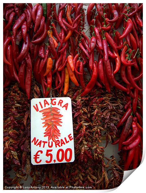chilli display, Amalfi, Italy Print by Lucy Antony