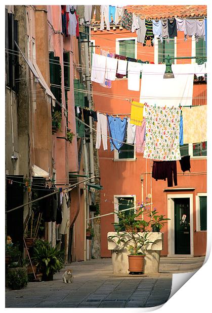Washday in Venice Print by Lucy Antony