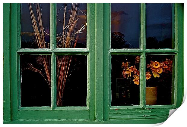  GREEN WINDOW Print by Bruce Glasser