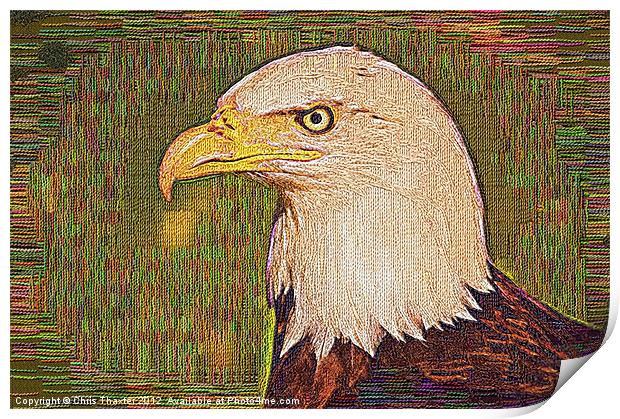 Bald Eagle Embroidered Print by Chris Thaxter