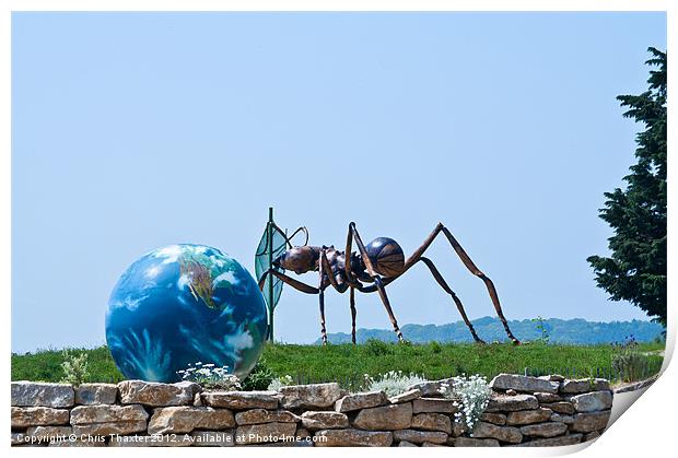 Ant world Print by Chris Thaxter