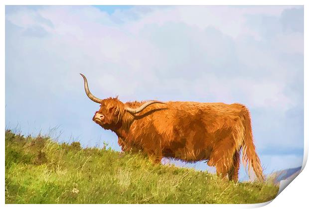 Highland Cow Watercolour Print by Chris Thaxter