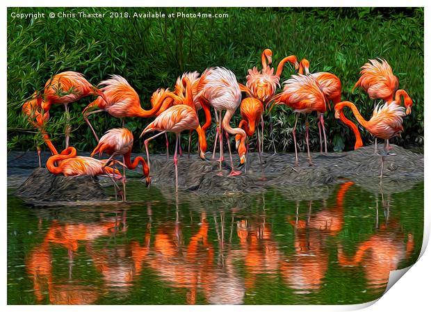 A Flamboyance of Flamingos Print by Chris Thaxter