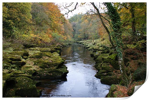 The Strid at Bolton Abbey Print by Mark Hobson