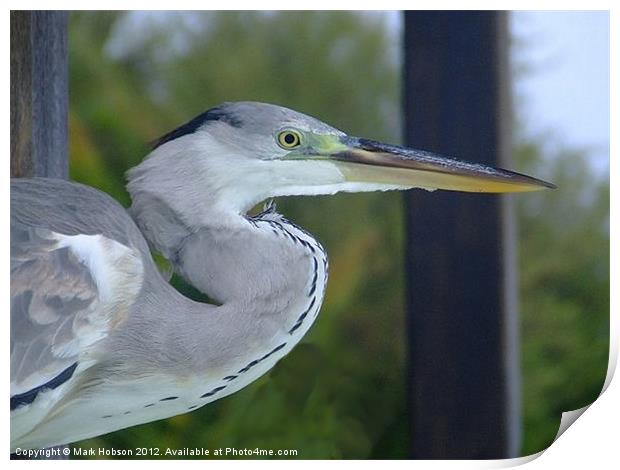 The Heron Print by Mark Hobson