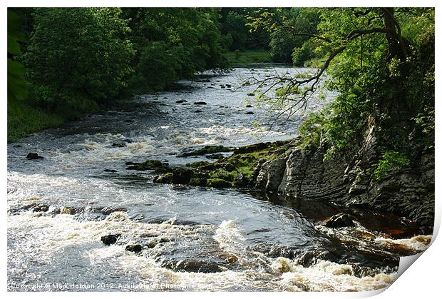 A River Runs Wild Print by Mark Hobson
