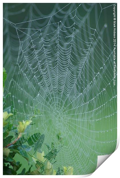  The Web Print by Mark Hobson