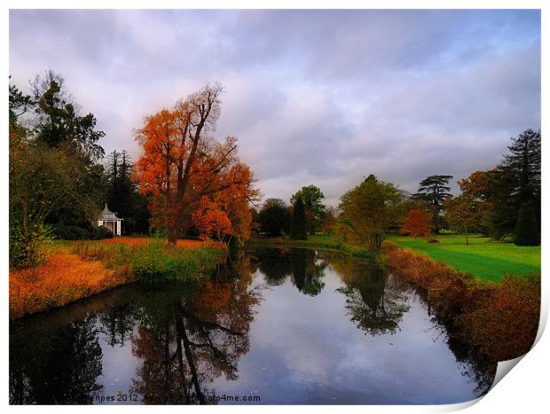 Autumn Reflections at Wrest Park Print by Bel Menpes