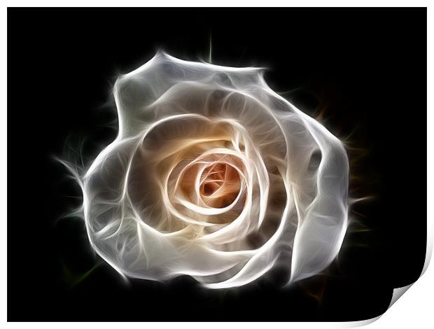 Rose of Light Print by Bel Menpes