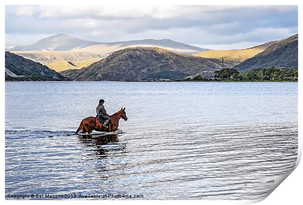 Horse at Airds Bay Loch Etive Print by Bel Menpes