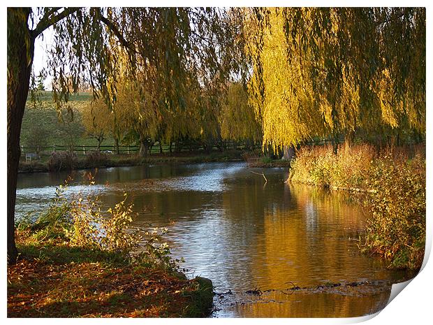 River Len in Autumn Print by Bel Menpes