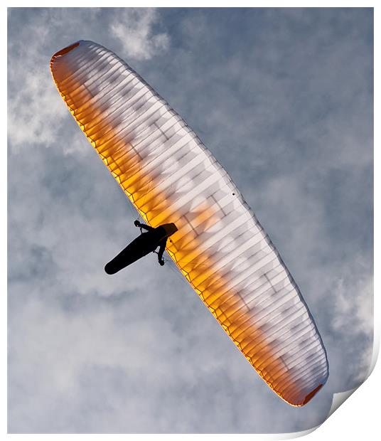 Sunlit Paraglider Print by Bel Menpes