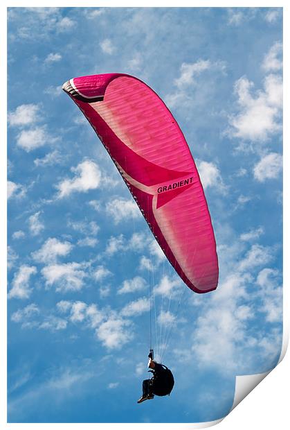 Red Canopy Paraglider Print by Bel Menpes