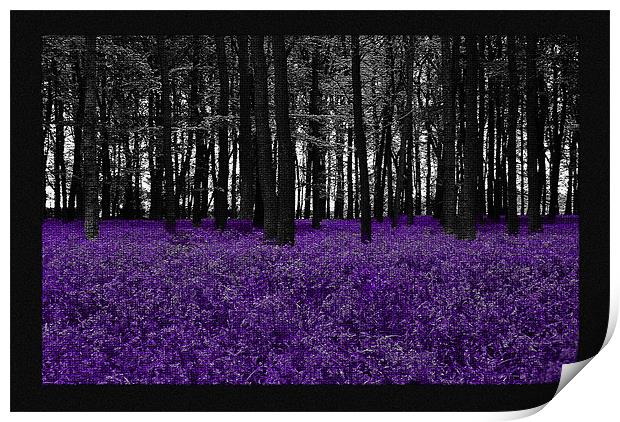 Bluebells Mosaic Print by Elaine Young