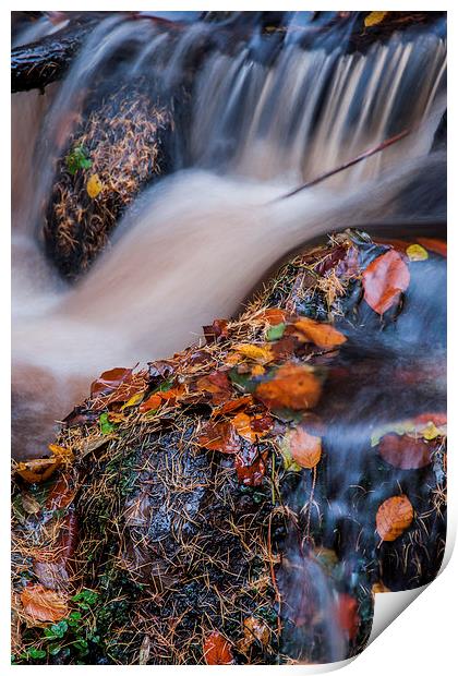  Wyming Brook Abstract Print by James Grant